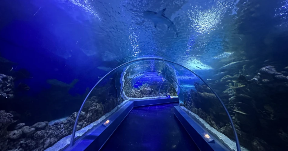 Jeddah's Best 10 Landmarks You Won't Wanna Miss Out On