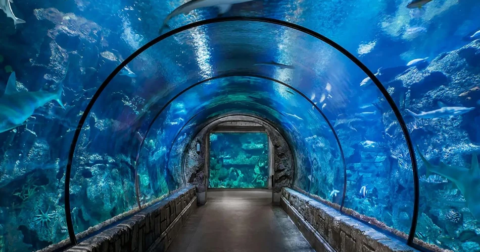 Best 10 Places to Visit in Jeddah